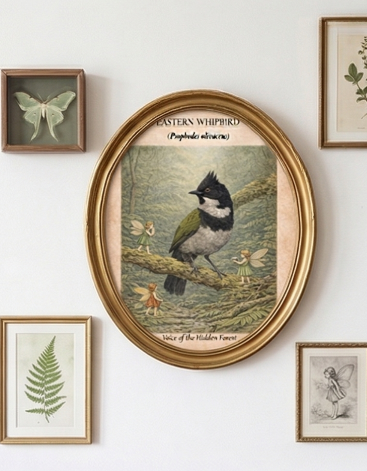 Eastern Whipbird Art Print | Australian Rainforest Bird Digital Download | Fairy Wall Art | Vintage Naturalist Illustration Print