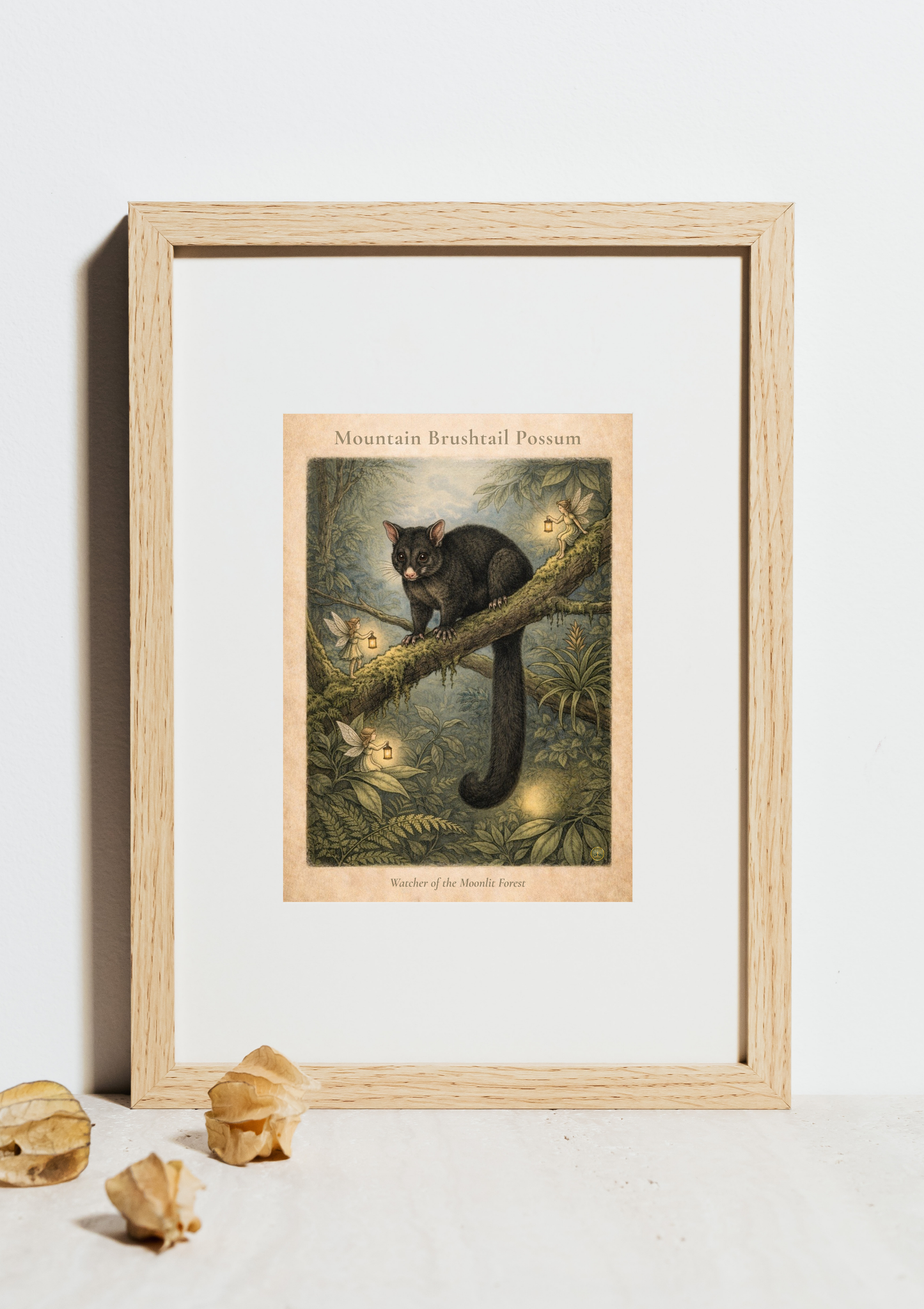 Mountain Brushtail Possum Art Print | Australian Wildlife Digital Download | Fairy Wall Art | Vintage Naturalist Illustration